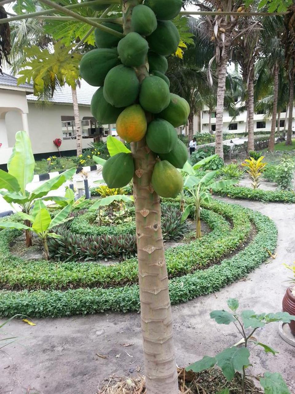 Oceanic Bay Hotel & Resort Bagamoyo Exterior photo