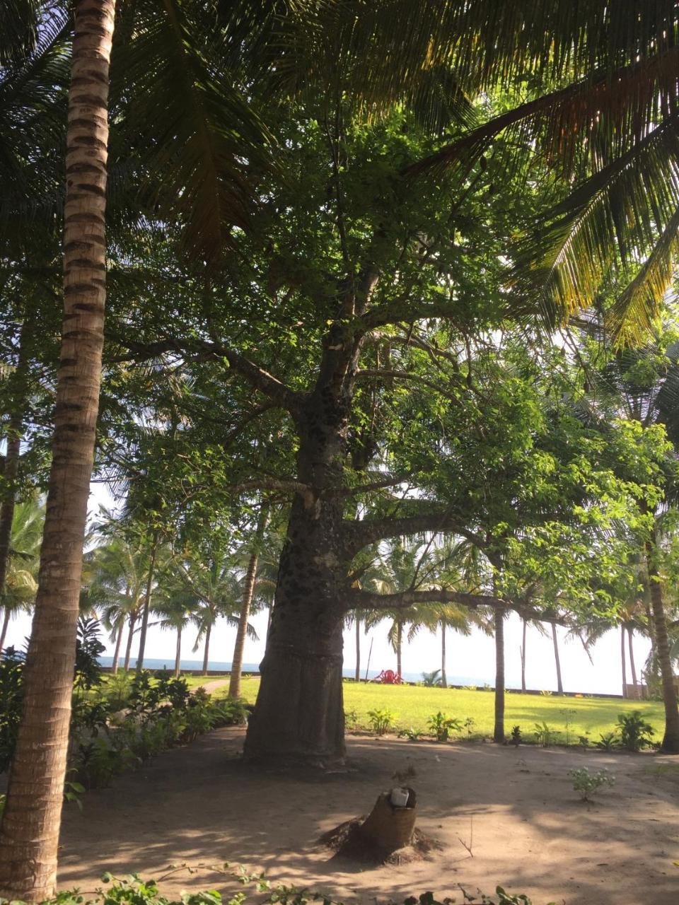 Oceanic Bay Hotel & Resort Bagamoyo Exterior photo